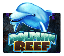 ทดลองเล่น Dolphin Reef