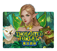 ทดลองเล่น Enchanted Forest