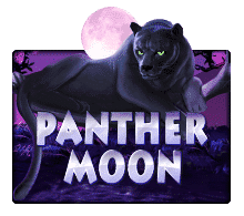 ทดลองเล่น Panther Moon