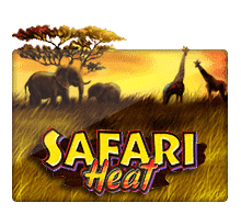 ทดลองเล่น Safari Heat